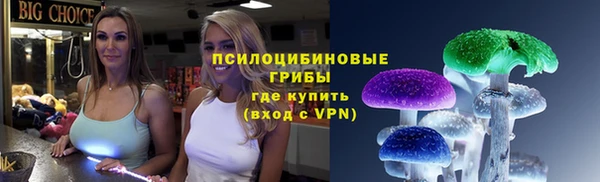 бошки Верея